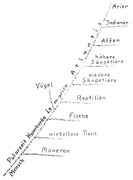 Entwickelung der Menschen