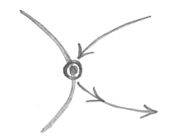 corresponding nerves